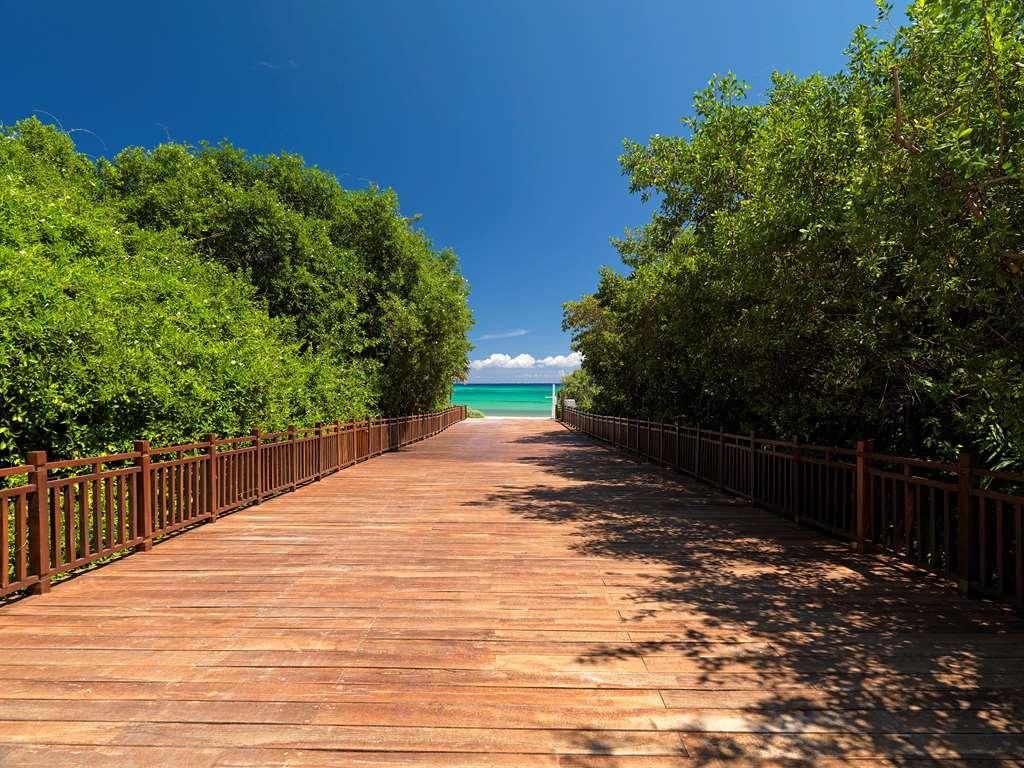The Reserve Paradisus Playa Del Carmen (Adults Only) ธรรมชาติ รูปภาพ