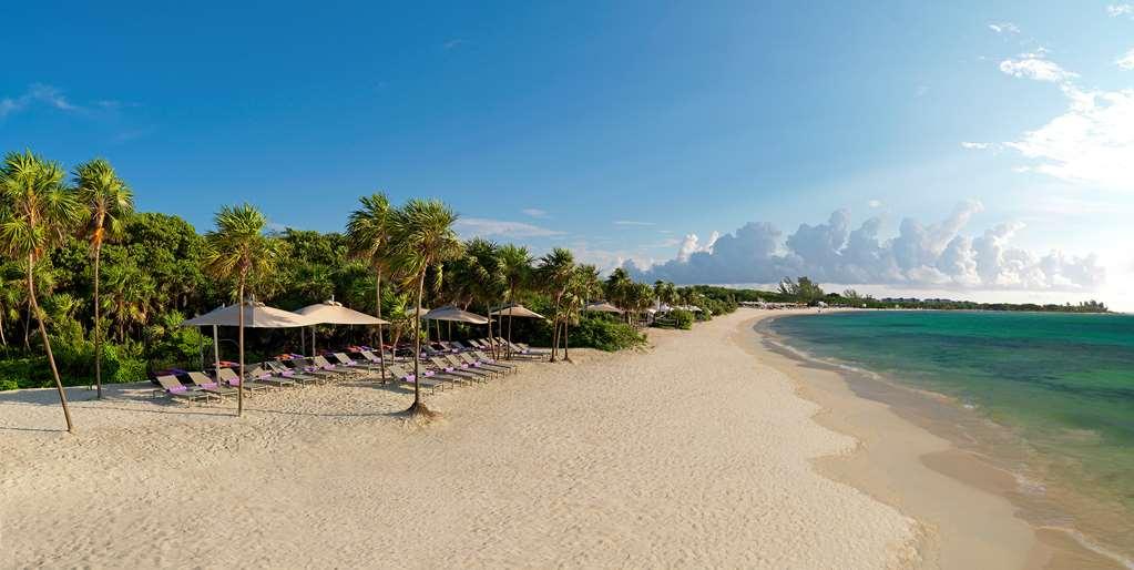 The Reserve Paradisus Playa Del Carmen (Adults Only) ธรรมชาติ รูปภาพ